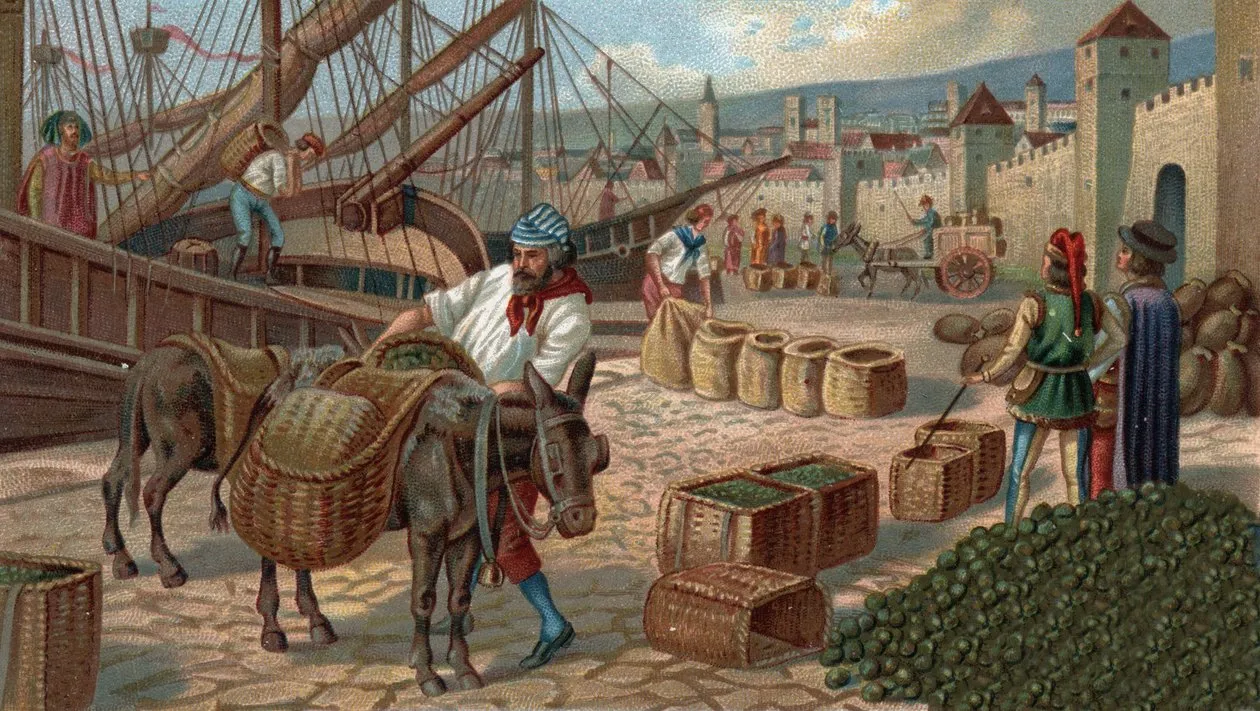 马赛历史介绍-marseille-history
