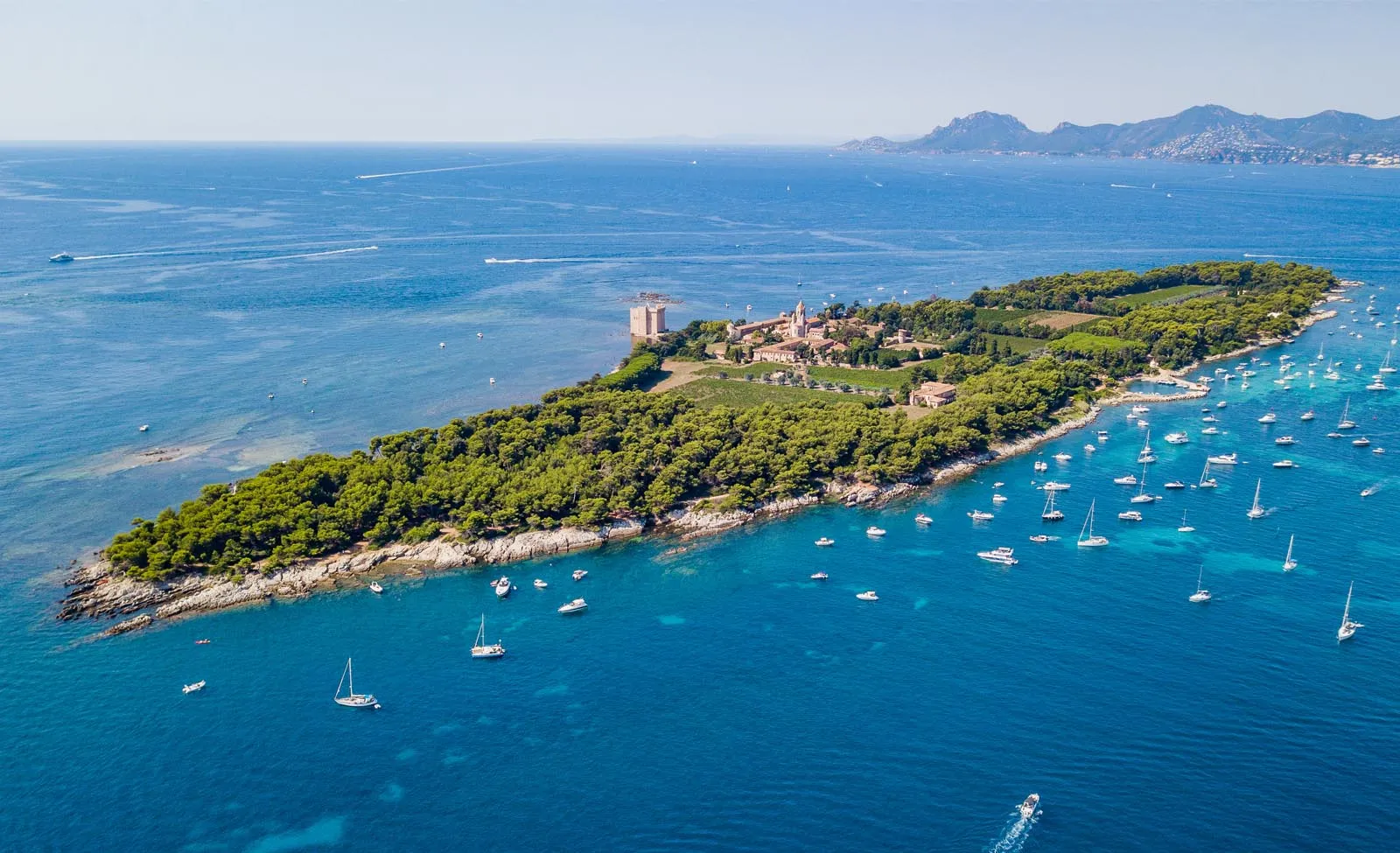 戛纳历史文化cannes-history-travel-guide