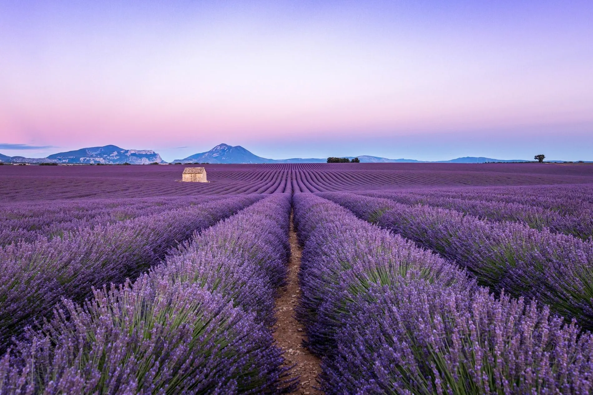 普罗旺斯攻略全集france-provence-region-travel-guide