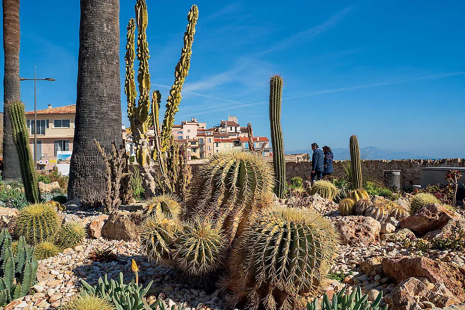 昂蒂布旅游攻略antibes-travel-guide