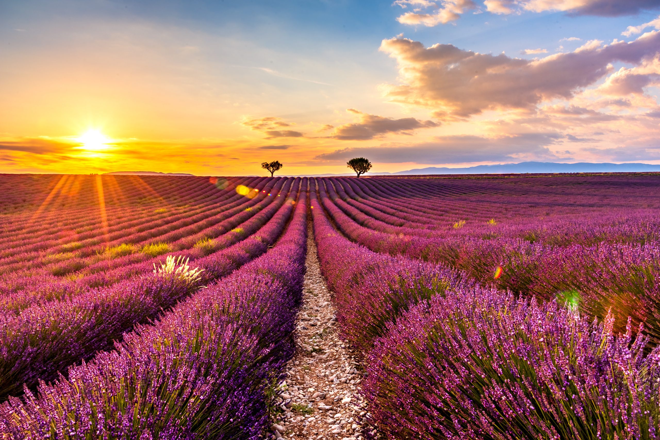 provence-private-tour-from-marseille马赛普罗旺斯地接包车