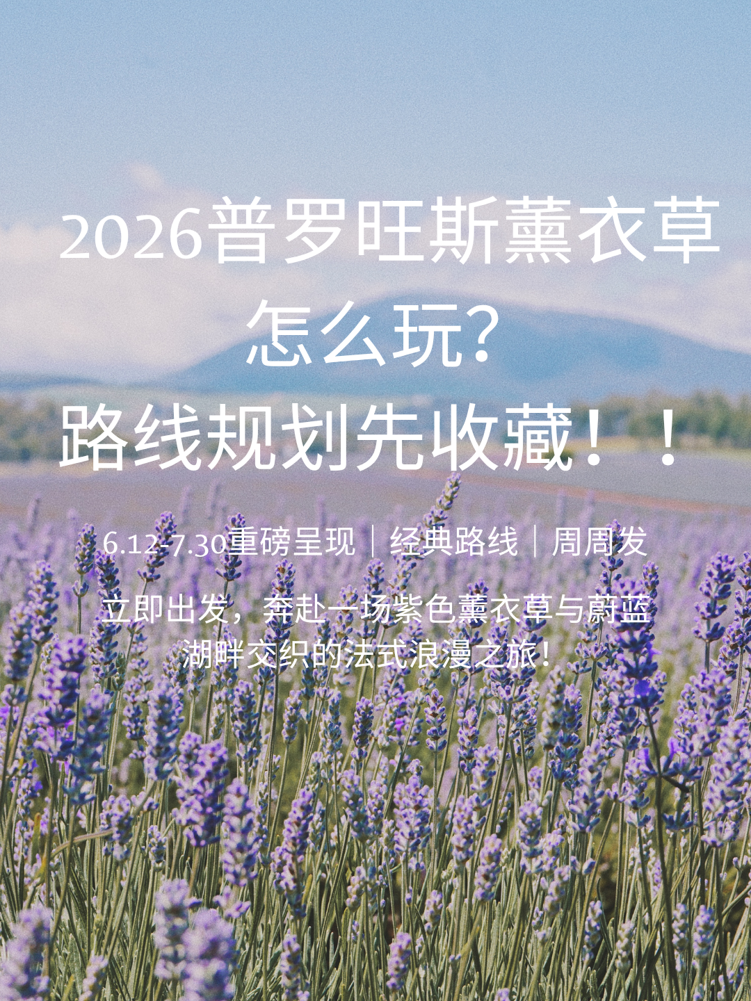 2026年普罗旺斯薰衣草季出游指南provence_lavender_private_tour