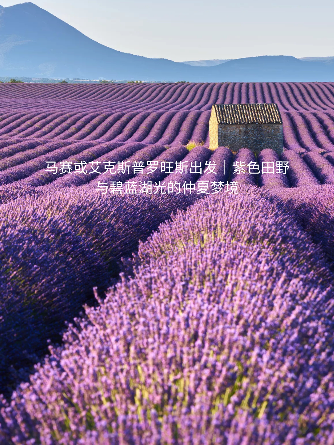 2026年普罗旺斯薰衣草季出游指南provence_lavender_private_tour