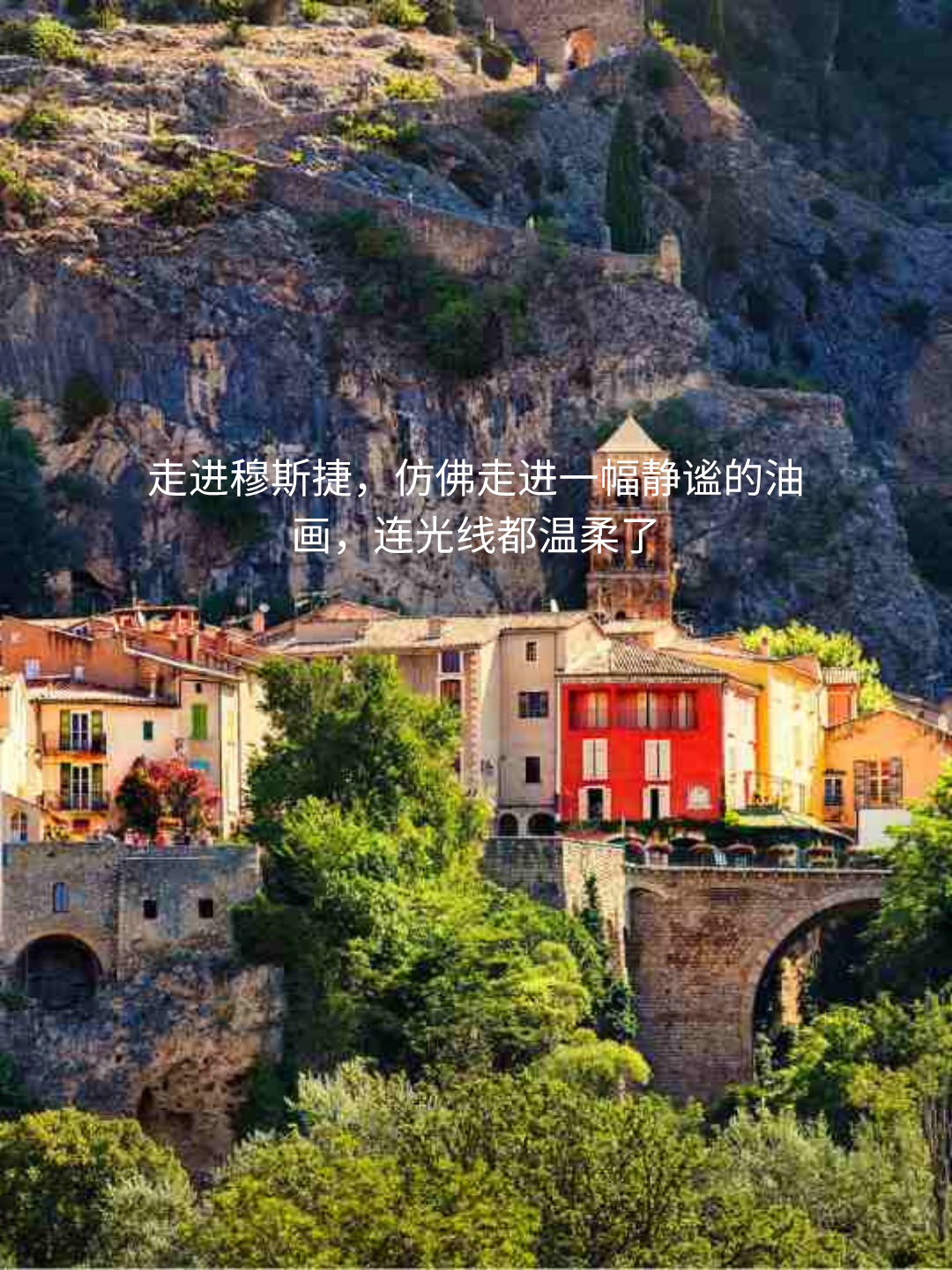 2026年普罗旺斯薰衣草季出游指南provence_lavender_private_tour