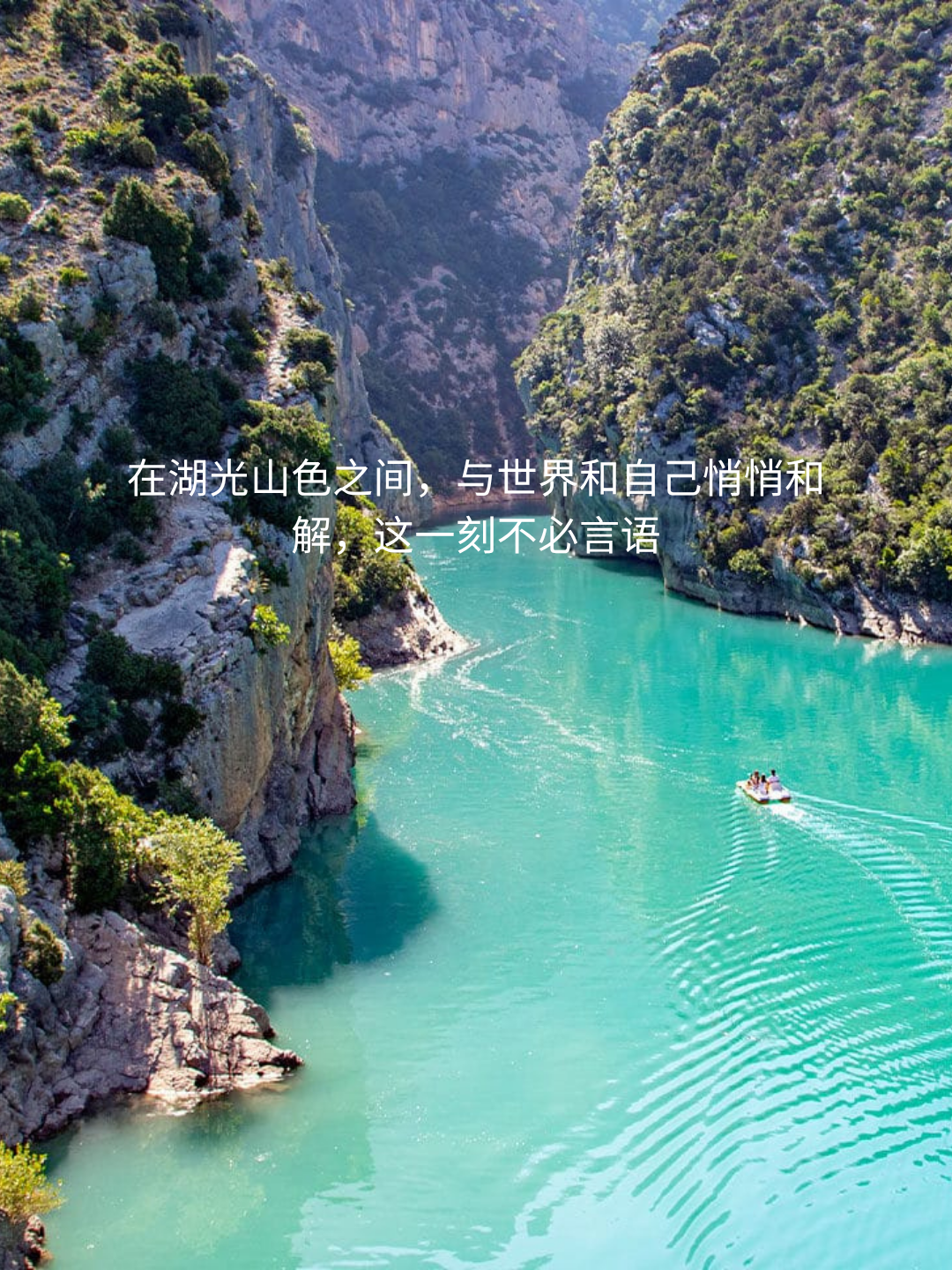 2026年普罗旺斯薰衣草季出游指南provence_lavender_private_tour