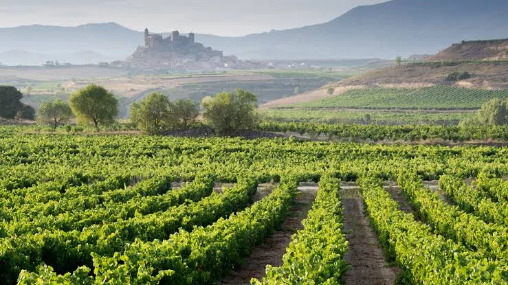 马德里周边十大目的地-madrid-around-10-destinations-one-day-trip