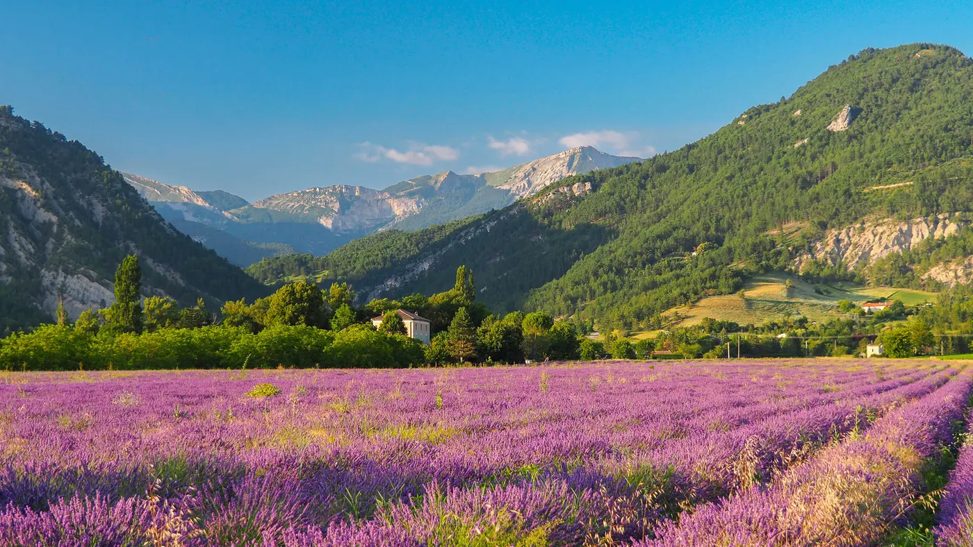 provence-private-tour-from-marseille马赛普罗旺斯地接包车