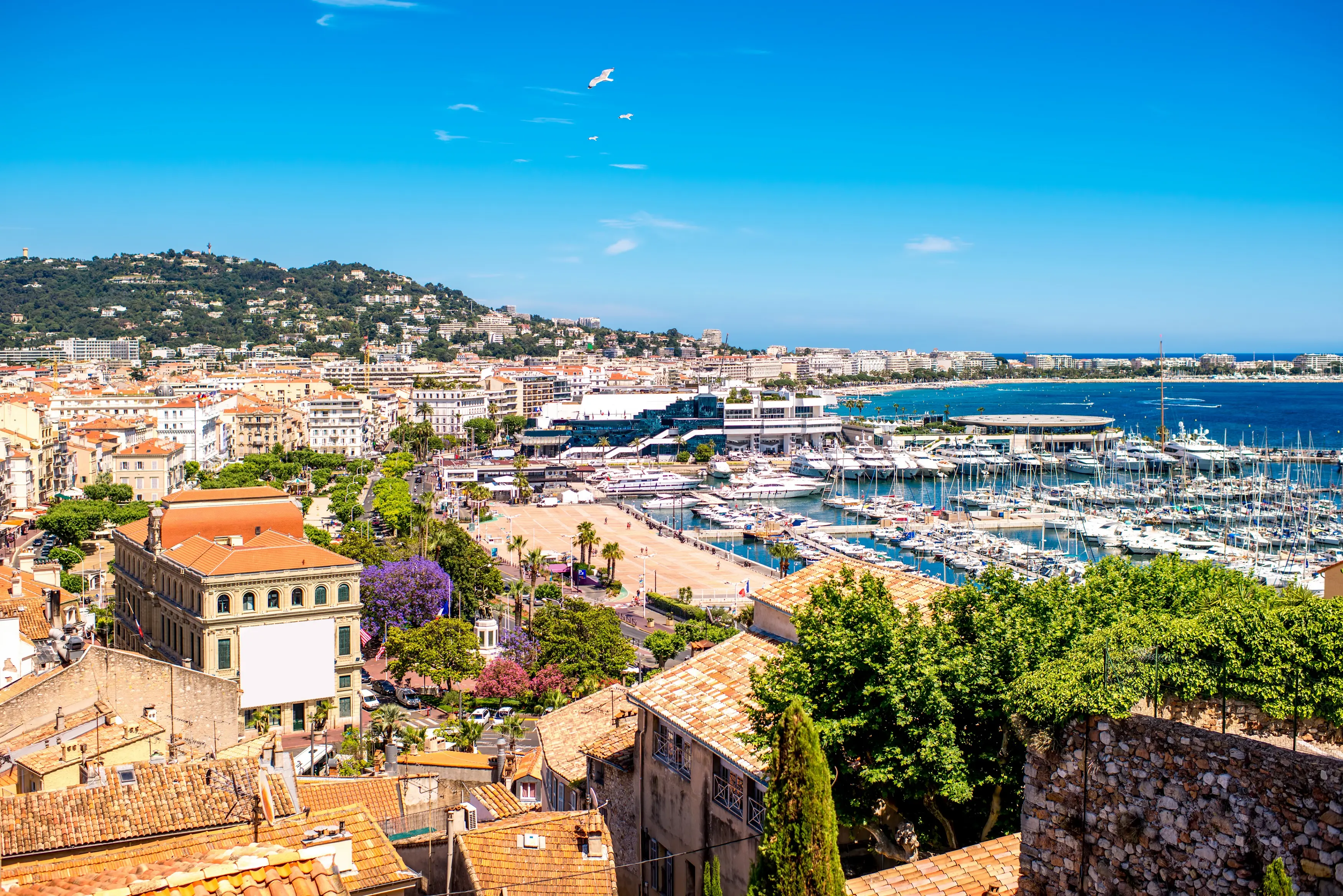 南法7日游visit-south-france-7-day-trip