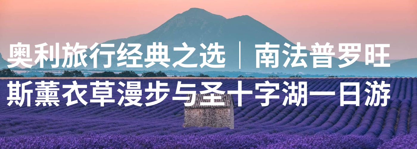 薰衣草花期预报provence-lavender-season