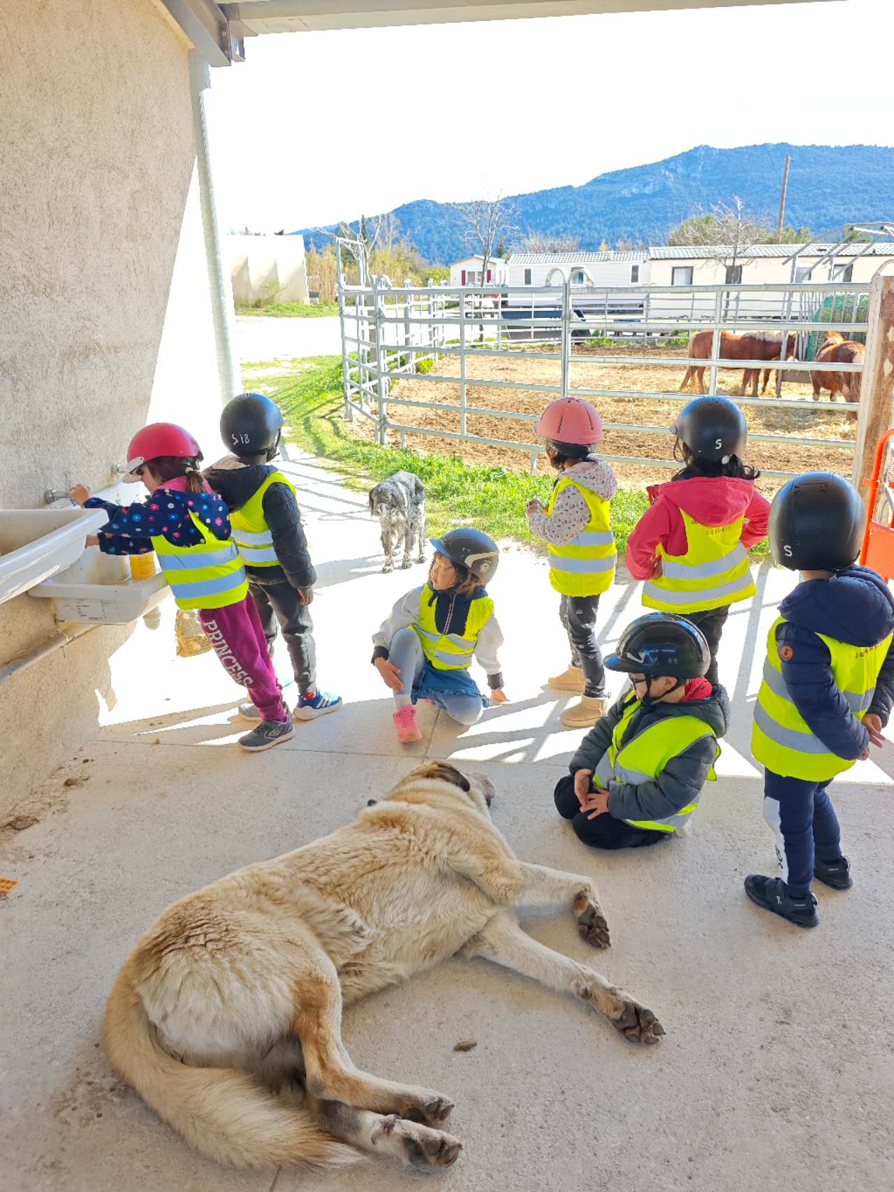 riding-a-poney-on-a-french-farm法国骑小马