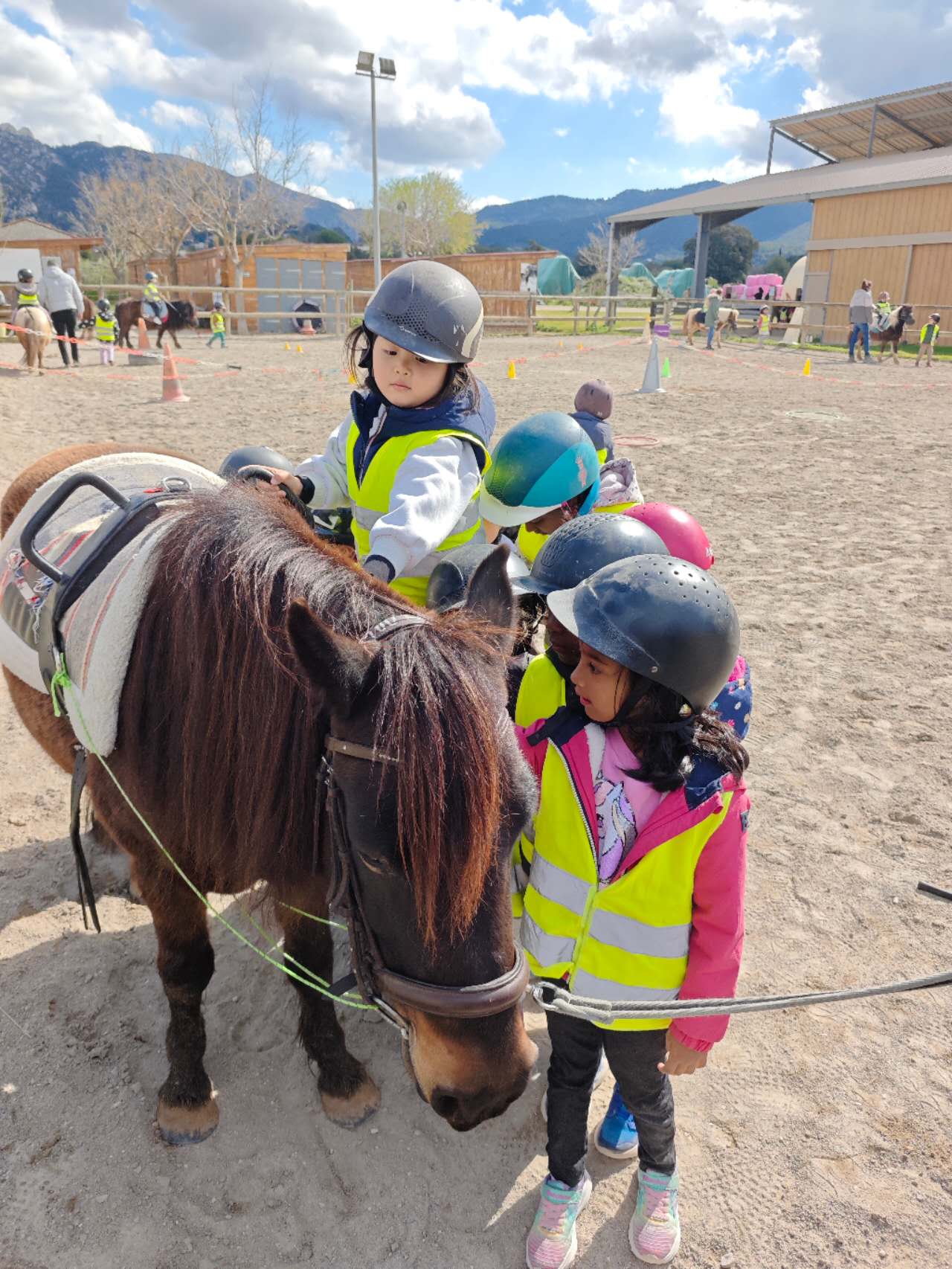 riding-a-poney-on-a-french-farm法国骑小马