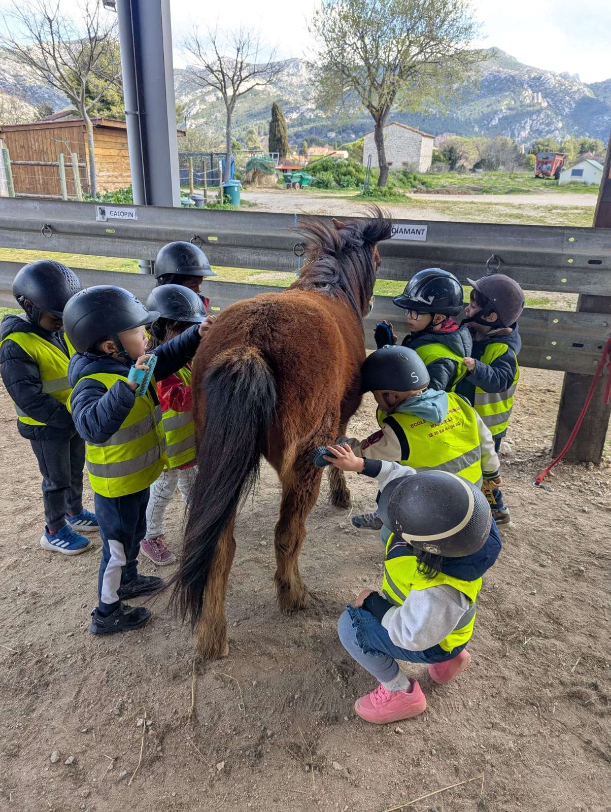 riding-a-poney-on-a-french-farm法国骑小马
