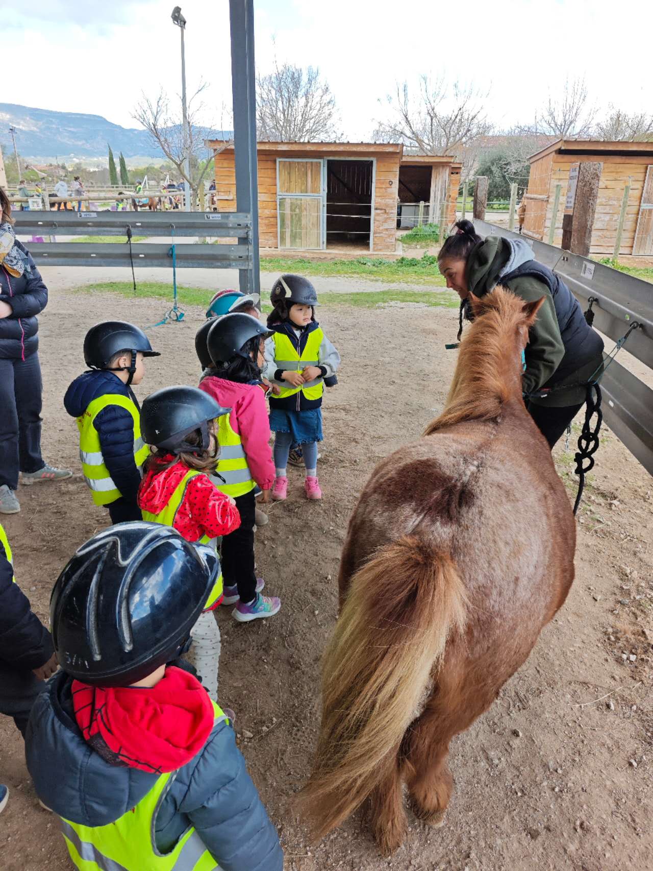 riding-a-poney-on-a-french-farm法国骑小马