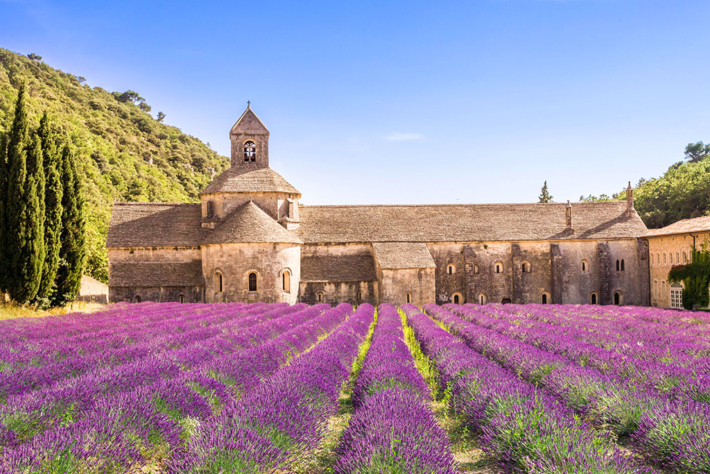 法国月度旅行指南visit-france