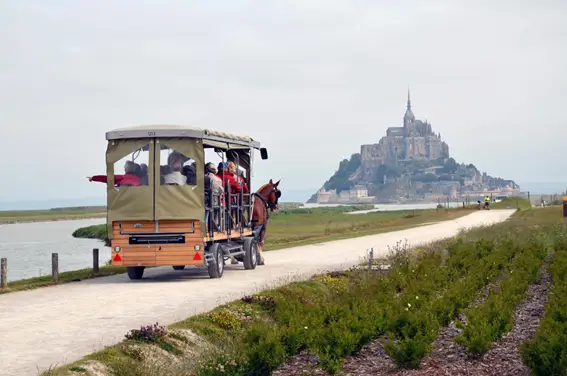 法国圣米歇尔山旅游指南france-visit-saint-michel-mount