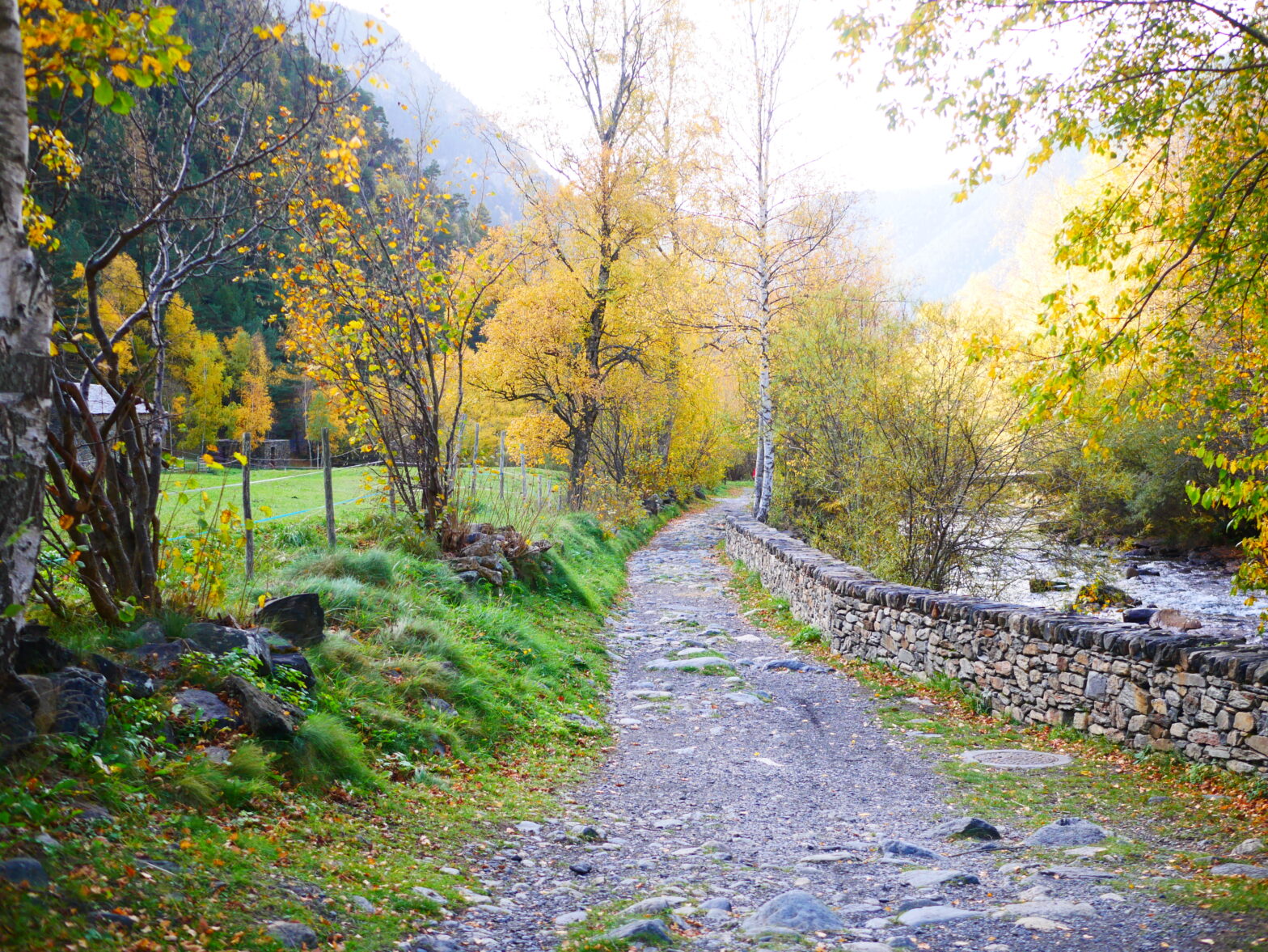 比利牛斯山安道尔旅游指南visit-pyrenees-andorra