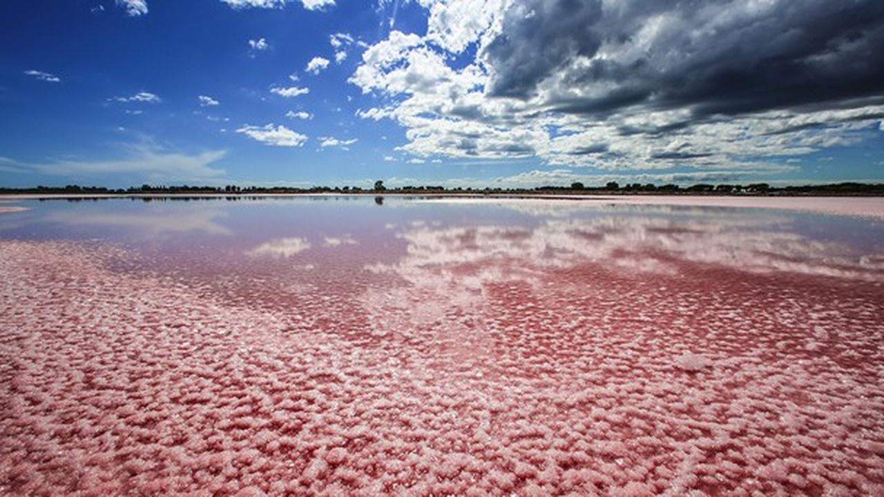 粉色盐湖和艾格莫尔古城攻略visit-salin-aigues-mortes-camargue-travel-guide