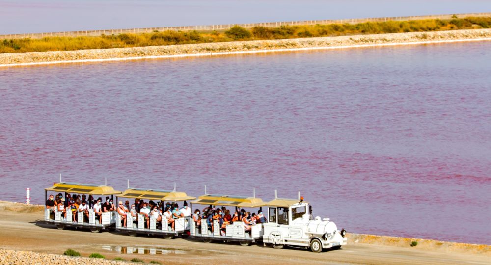 粉色盐湖和艾格莫尔古城攻略visit-salin-aigues-mortes-camargue-travel-guide
