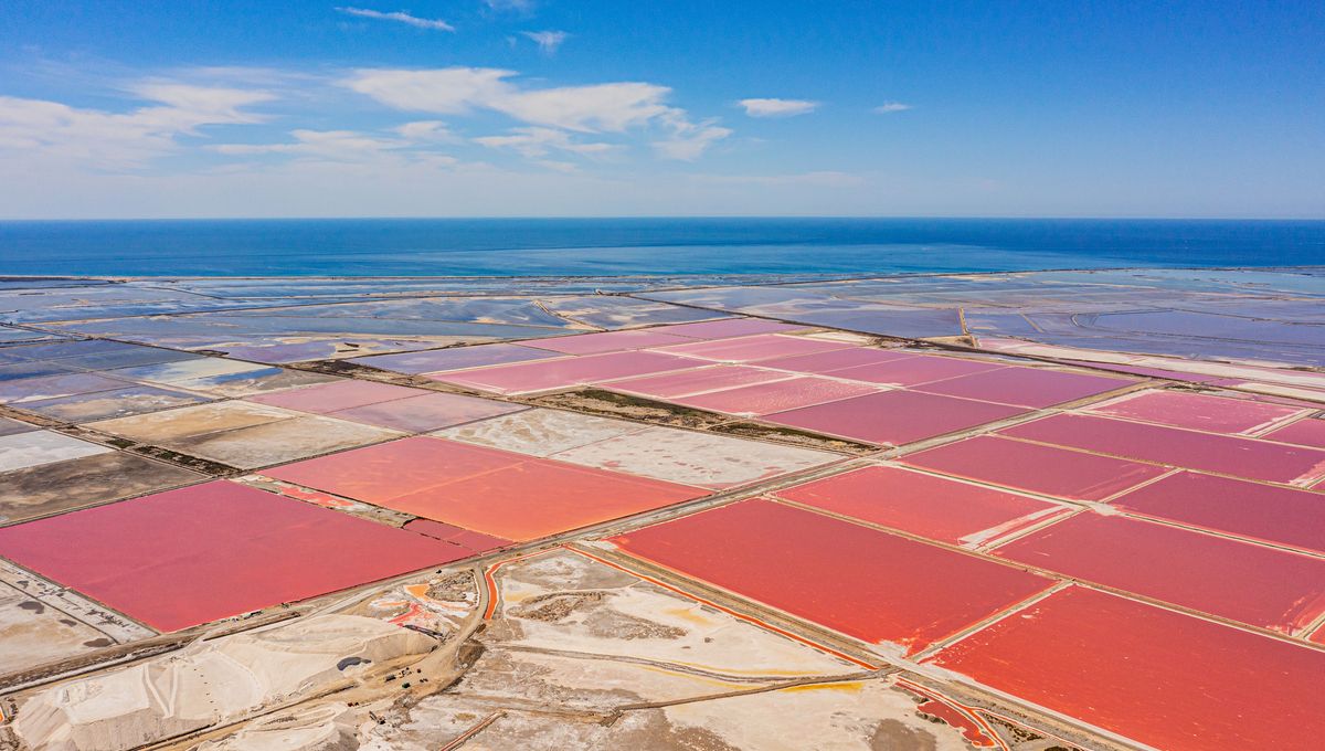 粉色盐湖和艾格莫尔古城攻略visit-salin-aigues-mortes-camargue-travel-guide