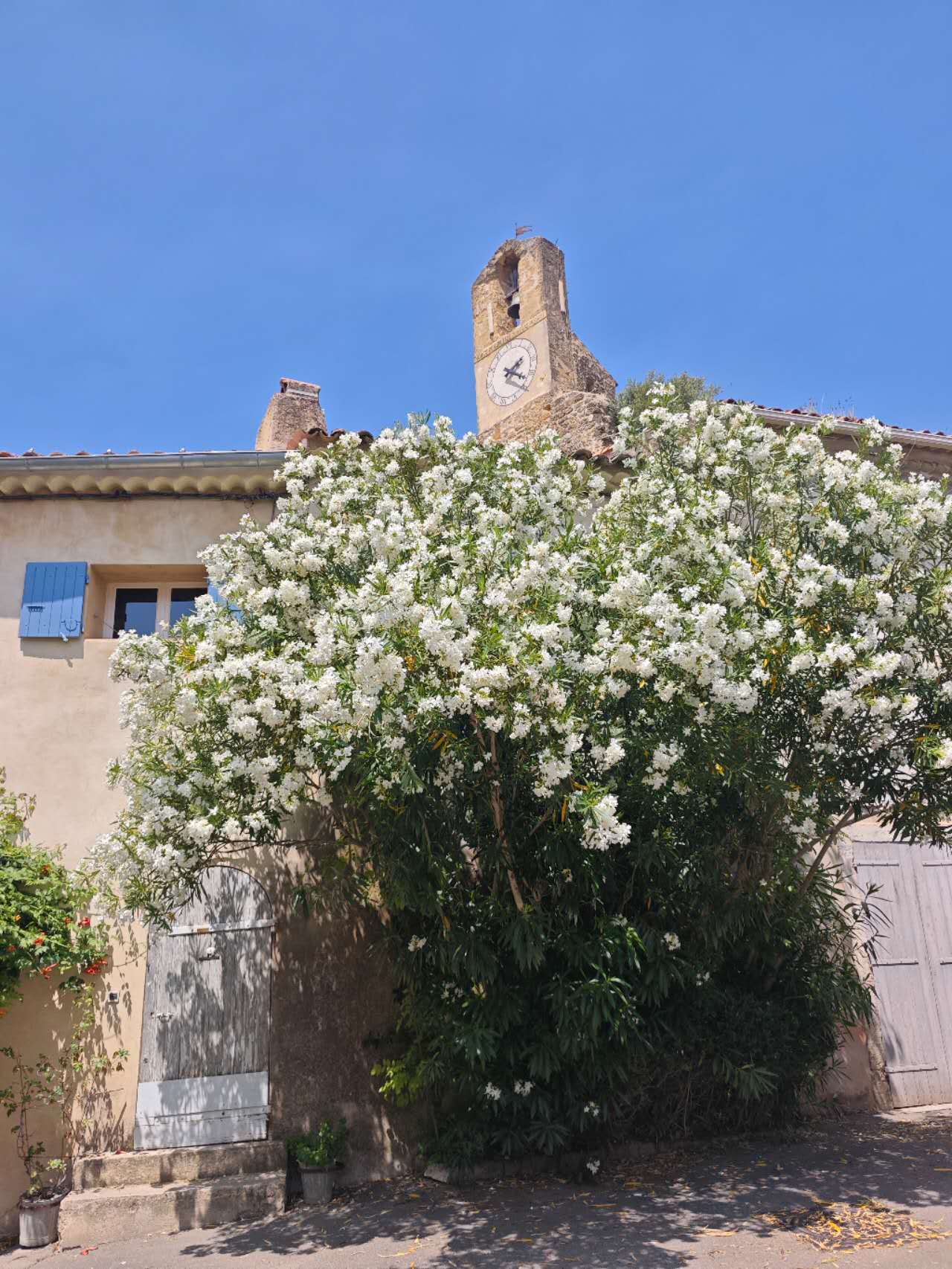 卢尔马兰小镇一日游记-visit-lourmarin-aolitravel