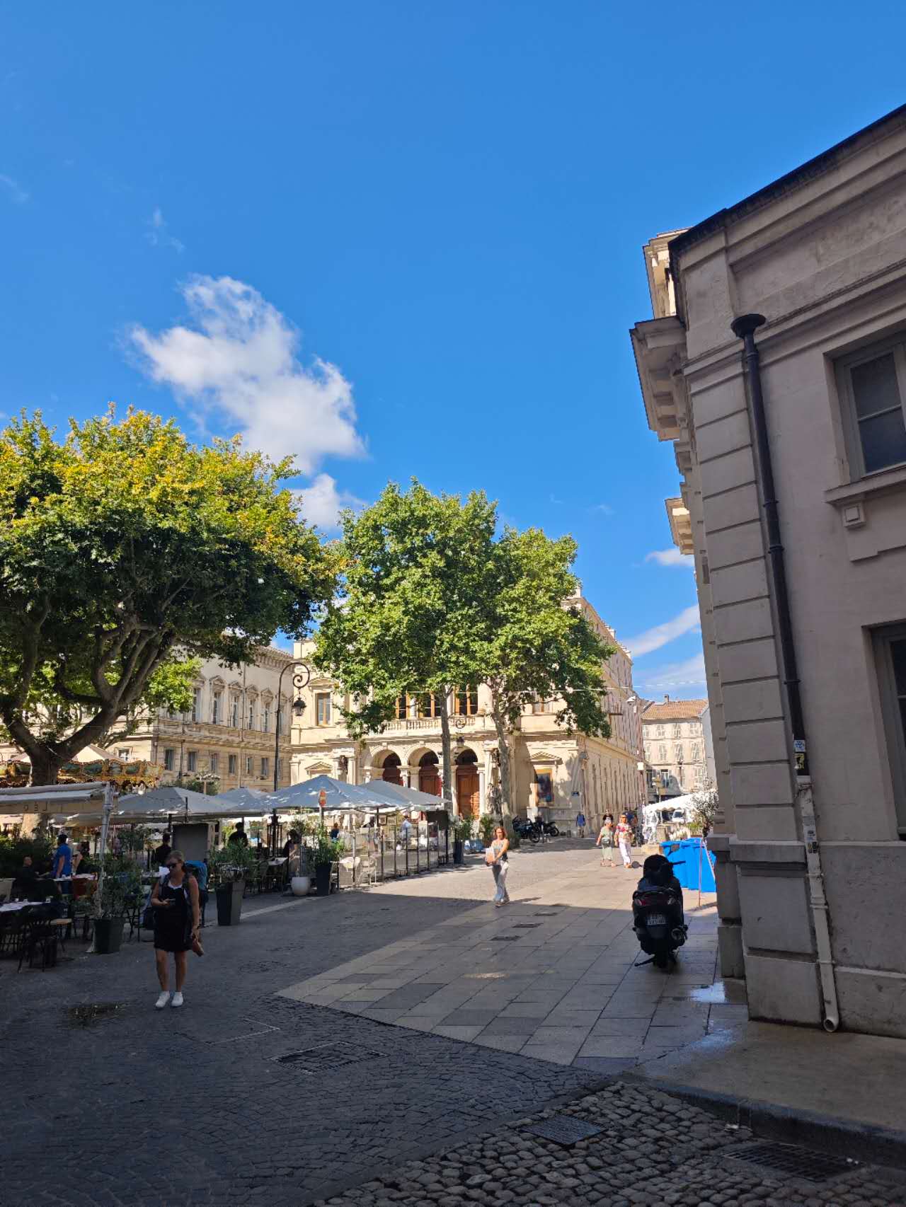 阿维尼翁教皇宫游记avignon-palais-des-papes-guide