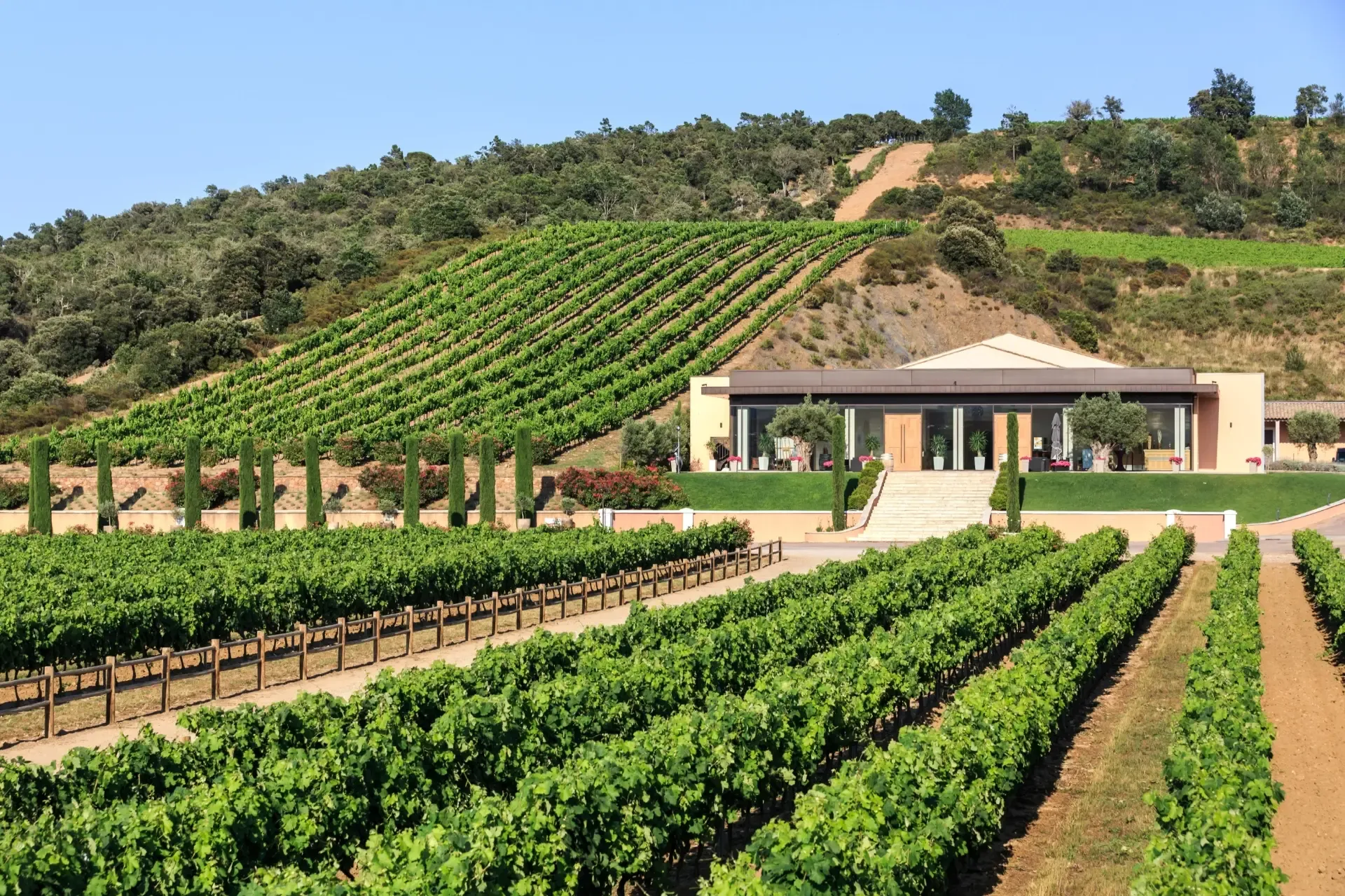 aolitravel.com-france-wine-region-travel-guide