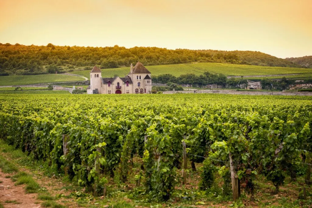 aolitravel.com-france-wine-region-travel-guide