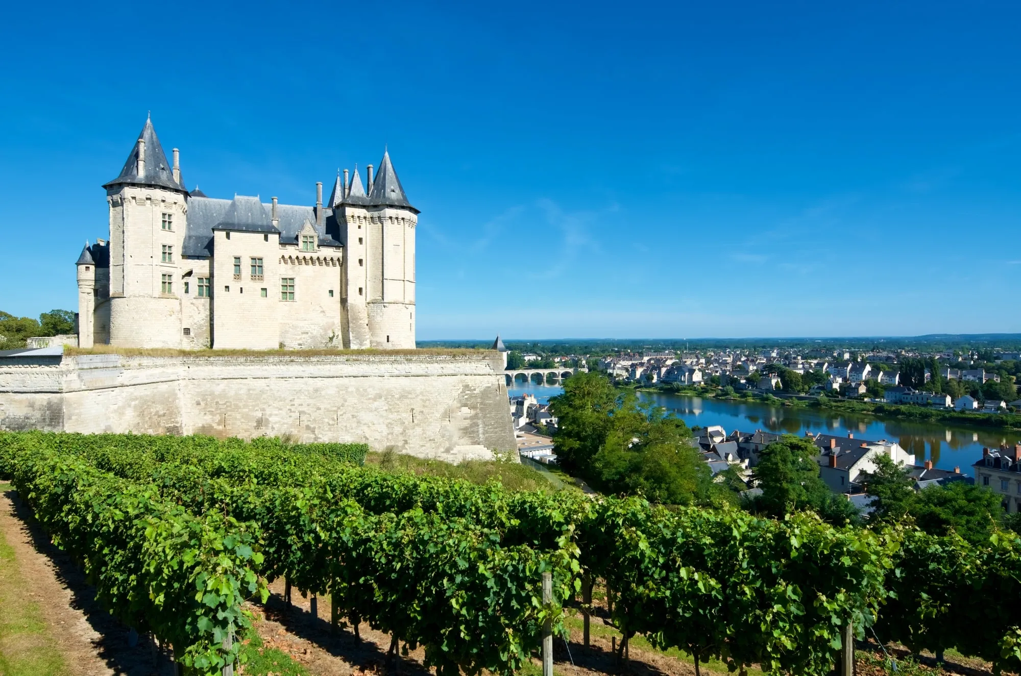 aolitravel.com-france-wine-region-travel-guide