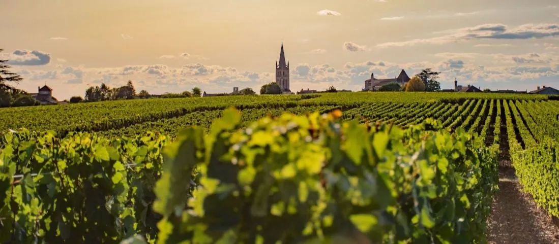 aolitravel.com-france-wine-region-travel-guide