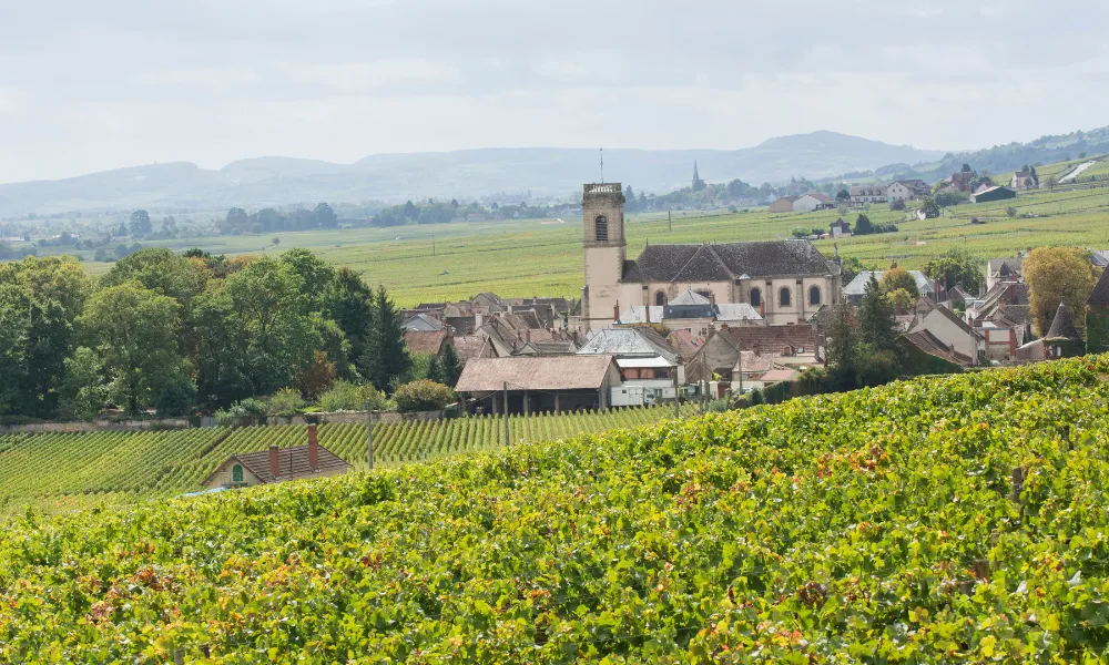 aolitravel.com-france-wine-region-travel-guide