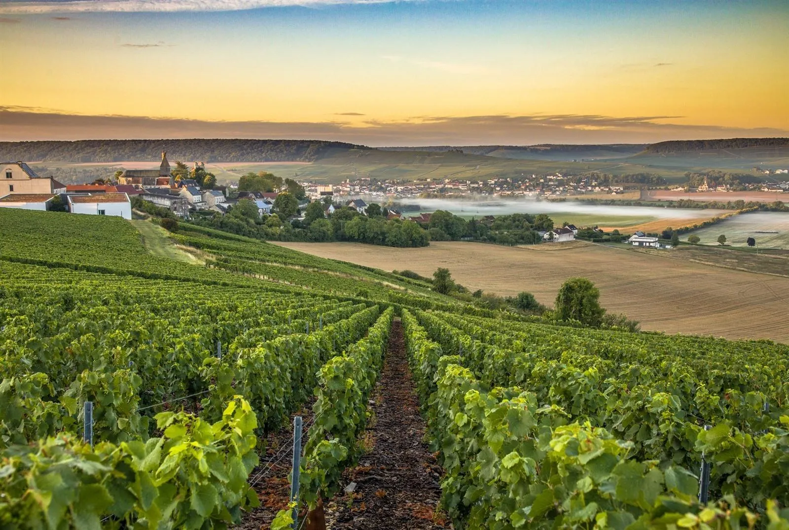 aolitravel.com-france-wine-region-travel-guide