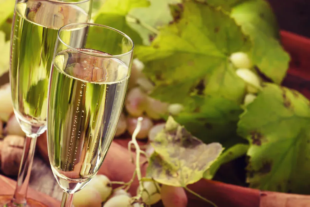 aolitravel.com-france-wine-region-travel-guide