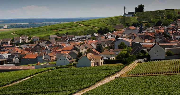 aolitravel.com-france-wine-region-travel-guide