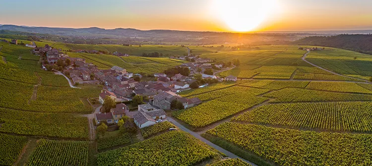 aolitravel.com-france-wine-region-travel-guide