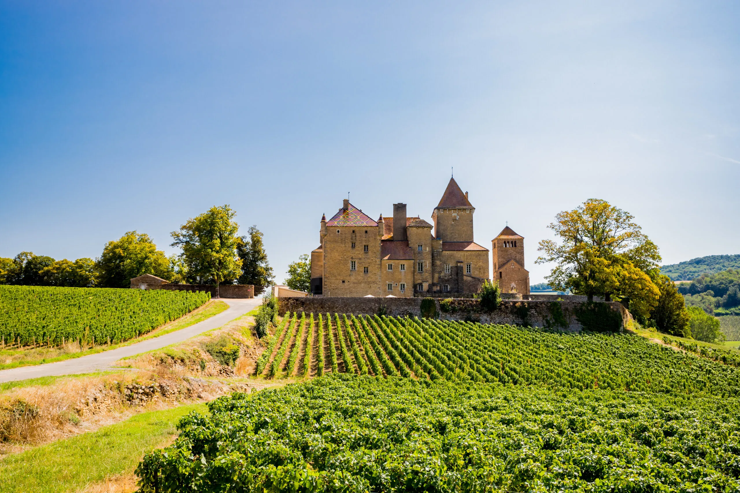 aolitravel.com-france-wine-region-travel-guide