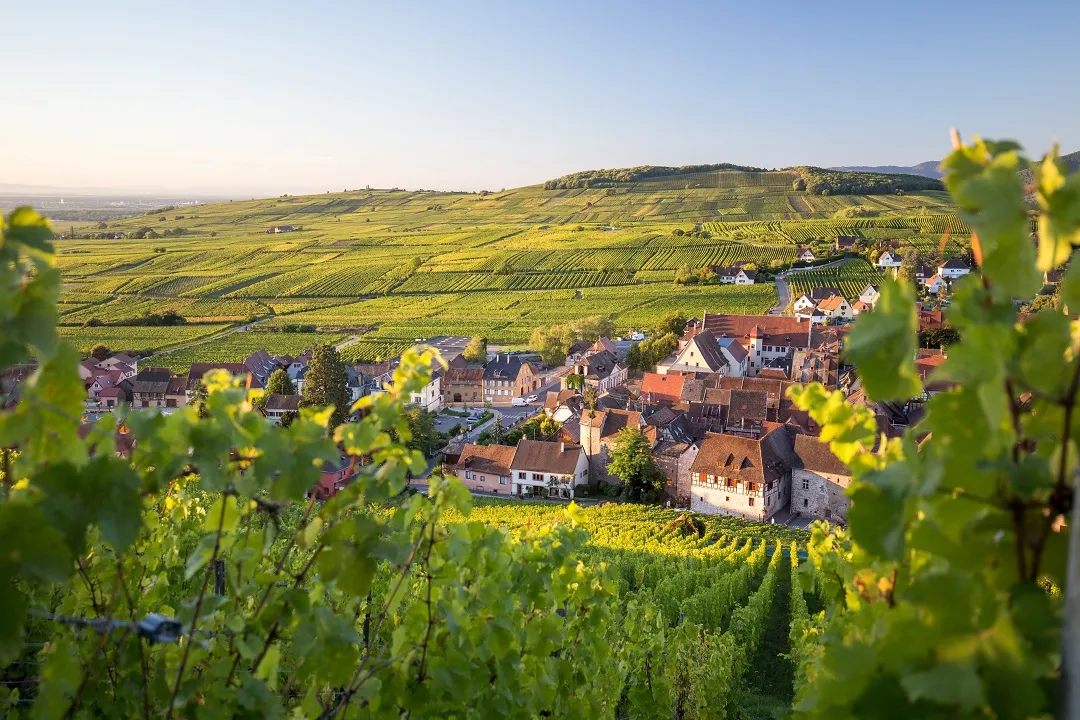 aolitravel.com-france-wine-region-travel-guide