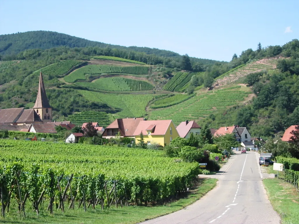 aolitravel.com-france-wine-region-travel-guide