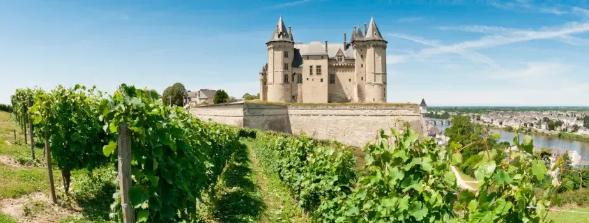 aolitravel.com-france-wine-region-travel-guide