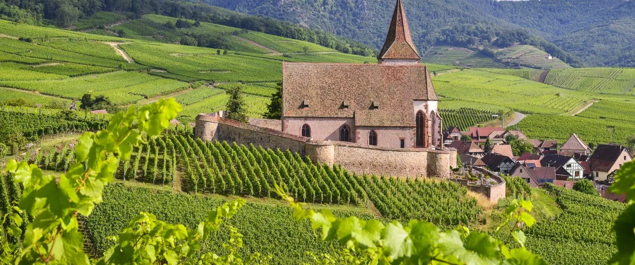 aolitravel.com-france-wine-region-travel-guide